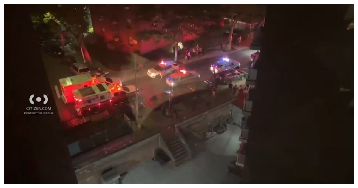 ঘটনাস্থল থেকে পালিয়ে যান বন্দুকধারী। ছবি: এবিসি নিউজ